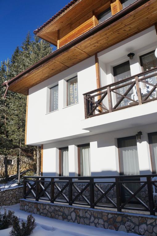 Boriki Complex Villa Pamporovo Kültér fotó